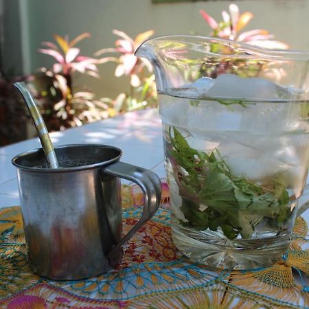 Hamaca Paraguaya Hostel Asuncion Ngoại thất bức ảnh