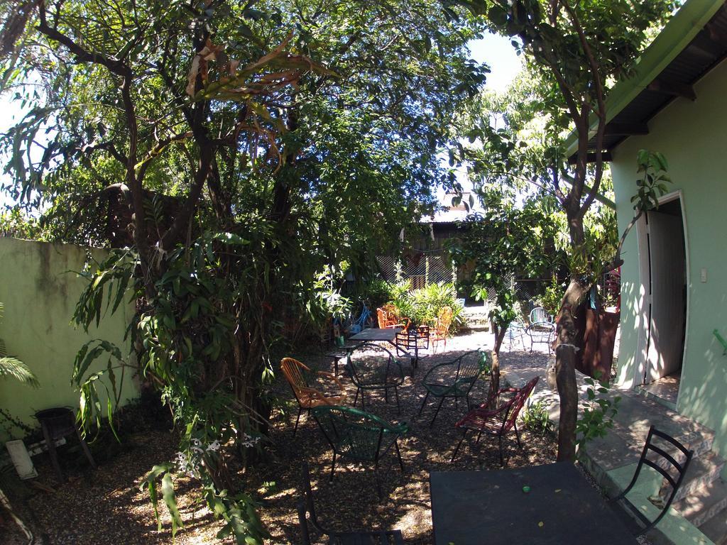 Hamaca Paraguaya Hostel Asuncion Ngoại thất bức ảnh