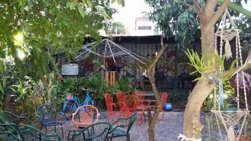 Hamaca Paraguaya Hostel Asuncion Ngoại thất bức ảnh